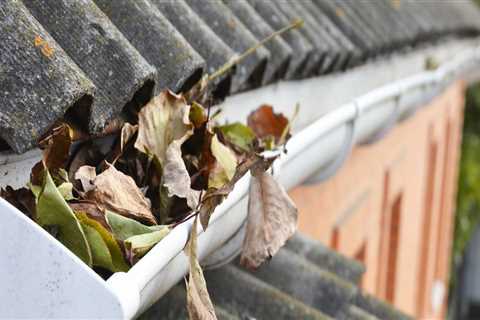 What happens if you don't clean gutters?
