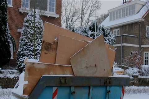 How Residential Dumpster Rental Service Can Help Keep Your Yard Clean After Tree Felling in..