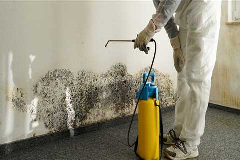 How mold inspection is done?