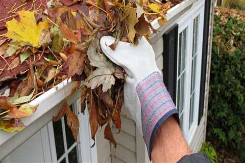 What months should you clean your gutters?