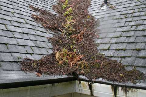 Advantages of Cleaning Roof Valleys and Gutters for Controlling Humidity