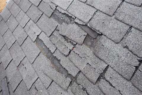 How do you clean a shingle roof without damaging it?