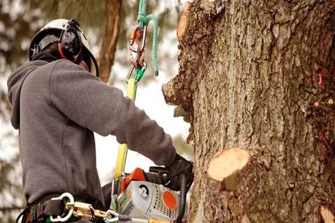 What do you call someone who does tree work?