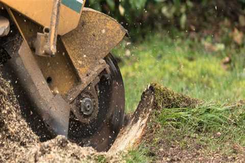 Does a stump grinder remove the entire stump?