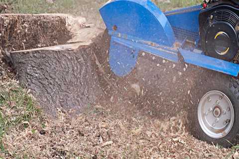 How Much Does Stump Grinding Cost?