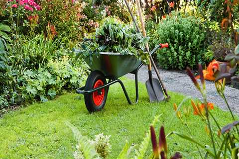 What is the easiest way to clean your yard?