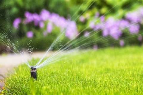 Why Do Arborists Recommend Sprinkler Systems In Omaha