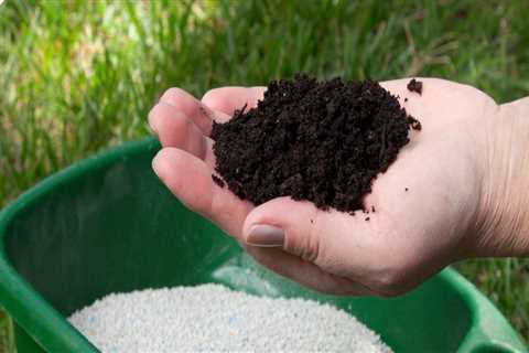 What temperature can you fertilize your lawn?