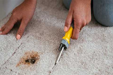 Carpet and Upholstery Repair: Common Problems and Solutions