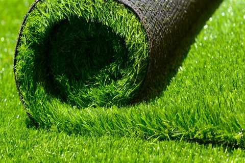 What is turf grass used for?