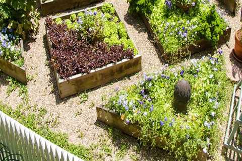 How do you layout a garden bed?