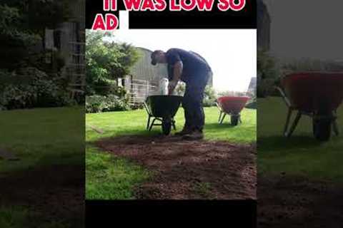 Fixing a hole in my lawn