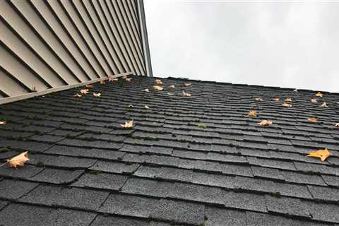 Is moss on my roof a problem?