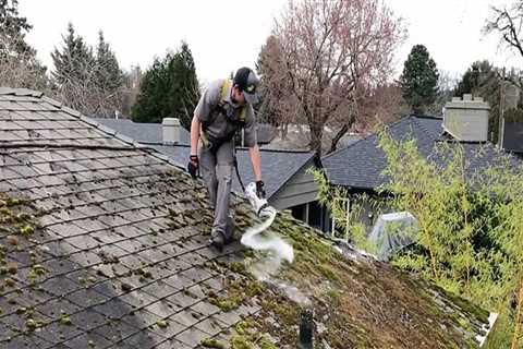 What is the best way to remove moss from a roof?