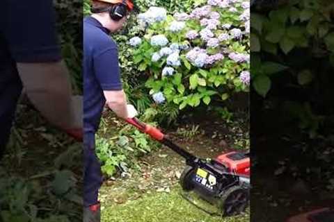 Amazing hedge cutting hack