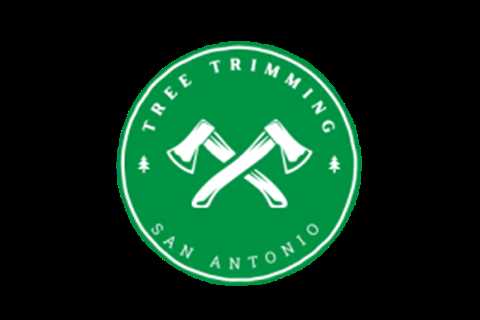 Contact Us – Tree Trimming San Antonio
