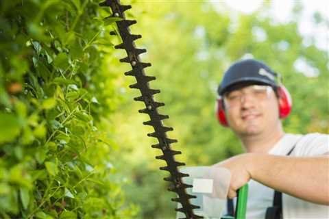 Tree Service Longwood - Daytona Tree Men