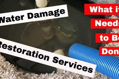 Professional Water Damage Restoration Services. How is One Day with Rodriguez.