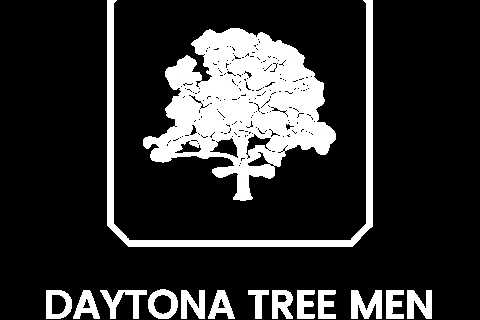 Tree Service Daytona Beach - Daytona Tree Men