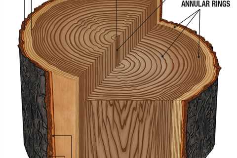 Anatomy of A Log