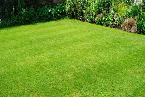 Healthy Lawn and Garden: Expert Tips for a Lush Green Landscape