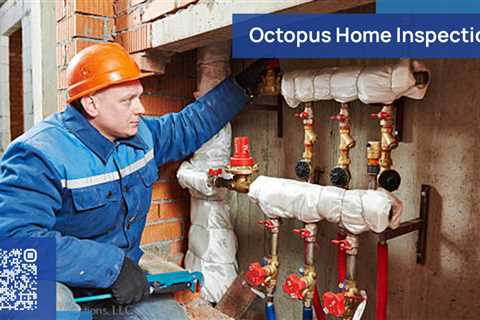 Standard post published to Octopus Home Inspections, LLC at March 12, 2023 20:00