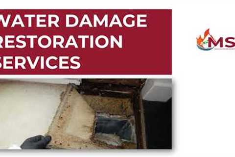 Welcome To Water Damage Restoration Services