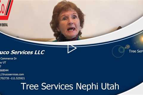 Emergency Tree Services Ogden Utah