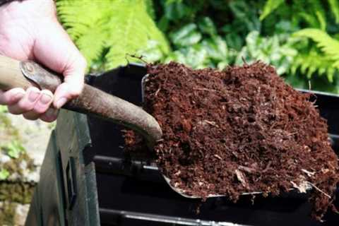How to Prevent Pink Mold in Compost - Pink Mold