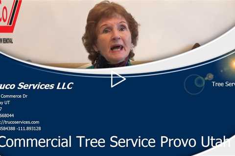 Emergency Tree Services Salt Lake City Utah