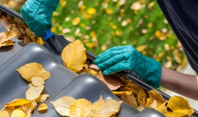 Gutter Cleaning Cranmore