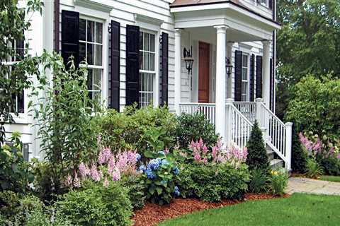 Planting Trees Near a House or Structure: What You Need to Know