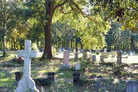 Removing Trees Near Cemeteries in Winchester, Virginia: What You Need to Know