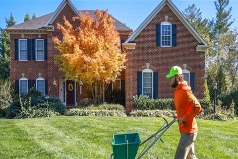 Ensuring Proper Tree Trimming in Winchester, Virginia