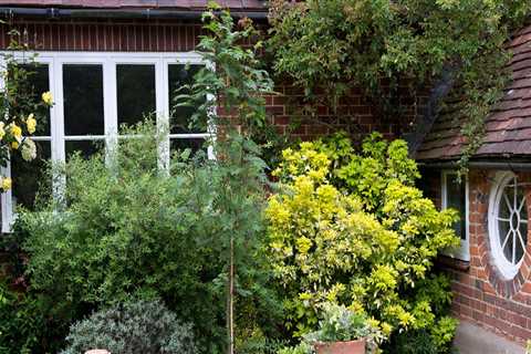 Planting Trees Near Your Home: An Expert's Guide