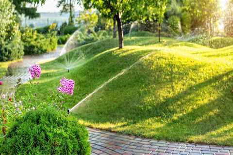 What Kind of Maintenance Do Landscape Contractors Provide?