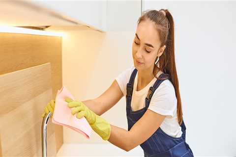 What Are the Fees Associated with a Maid Service?