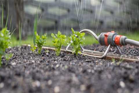 What is the Best Timer for Your Lawn Sprinkler System?