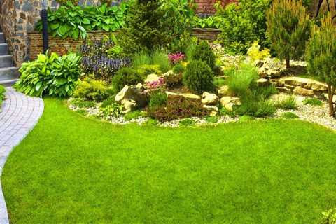 What Services Do Landscape Contractors Offer?