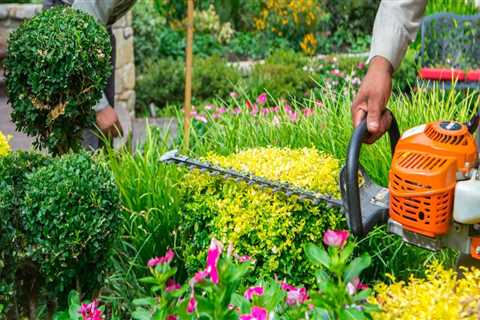 Grounds Maintenance: A Comprehensive Guide