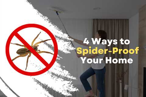 4 Ways to Spider-Proof Your Brampton Home