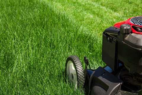 Why is proper lawn care important?