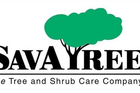 SavATree merges with Vermont Arborists