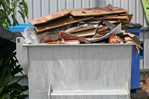 The Importance Of Dumpster Rental To Texas Arborists In Performing Their Jobs