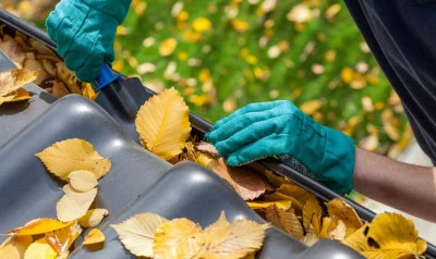 Gutter Cleaning Evercreech