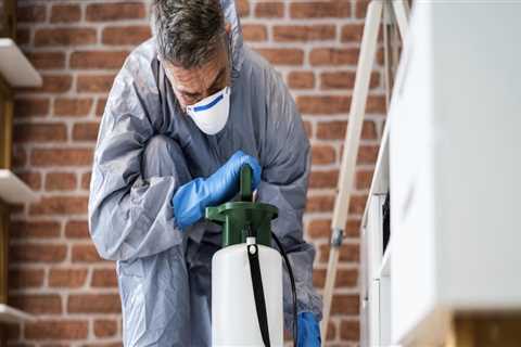 Should You Do Pest Control Yourself or Hire a Professional?