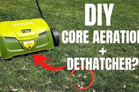 Fall Lawn Care | How to Aerate, Dethatch & Overseed Your Lawn the Easy Way!! Sun Joe Dethatcher