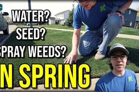 When To WATER, SEED, SPRAY In Spring // Spring Lawn Care Tips