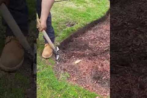 Spade edging in a mulch bed.  Precision work from Francis son.