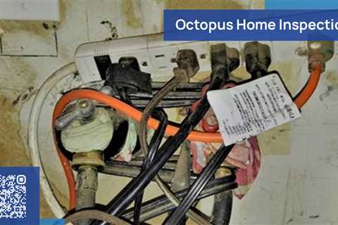 Standard post published to Octopus Home Inspections, LLC at May 12, 2023 20:00